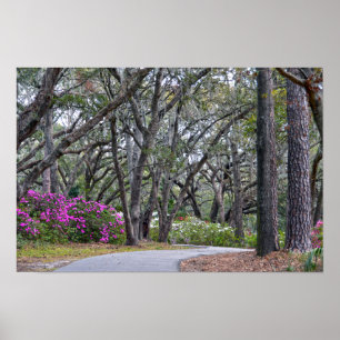 Poster Chemin de Charles Town Landing, Caroline du Sud