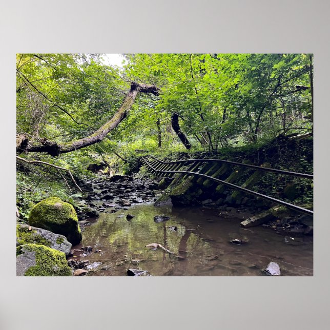 Poster Chemin de fer abandonné (Devant)