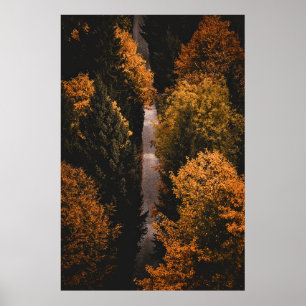 Poster Chemin de la forêt d'automne