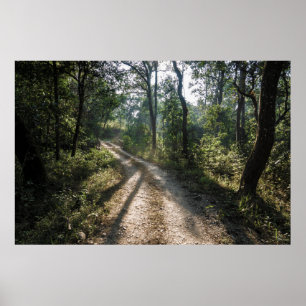 Poster Chemin de la jungle de Chitwan : sentier de la for