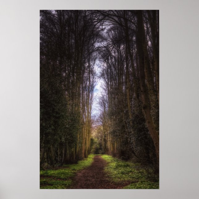 Poster Chemin de l'arbre de cime (Devant)