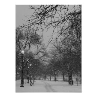 Poster Chemin d'hiver