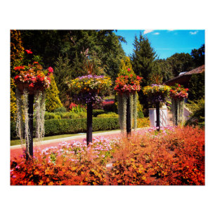 Poster Chemin du jardin