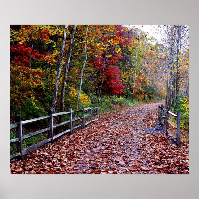 Poster Chemin en bois (Devant)