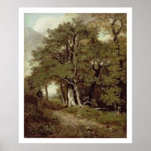 Poster Chemin En Bois