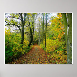Poster chemin en bois à travers l'affiche d'arbres de