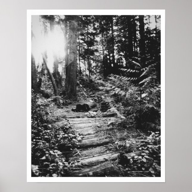 Poster Chemin forestier (Devant)