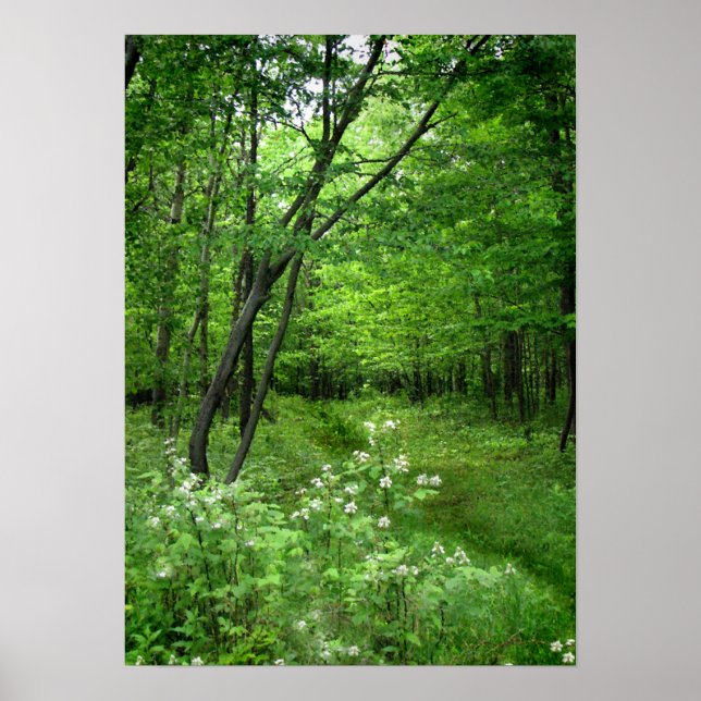 Poster Chemin forestier (Devant)