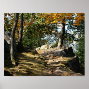 Poster Chemin forestier paisible Nature Orton Art