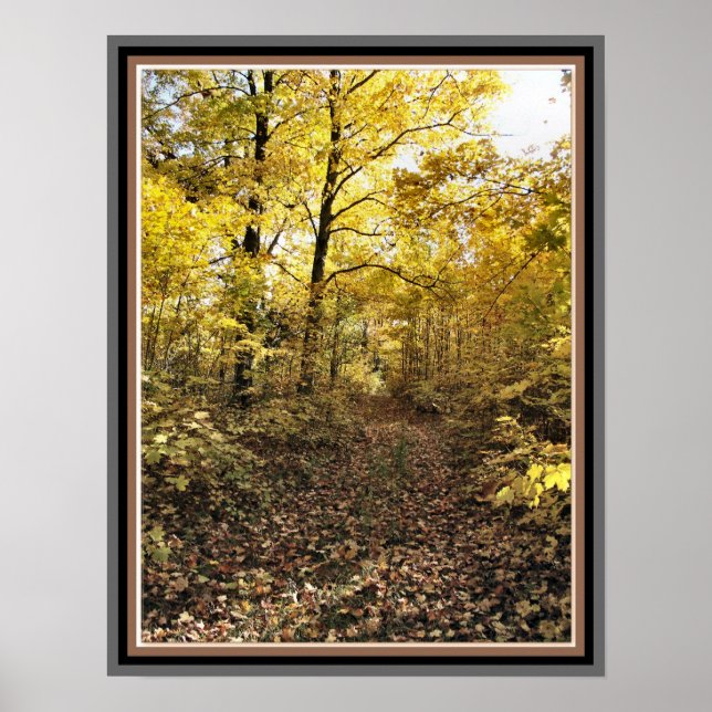Poster Chemin Maple Sugar Bush - Automne Est de l'Ontario (Devant)