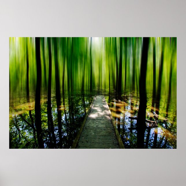 Poster Chemin Mystère  (Devant)