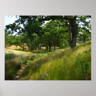 Poster "Chemin vers le calme"