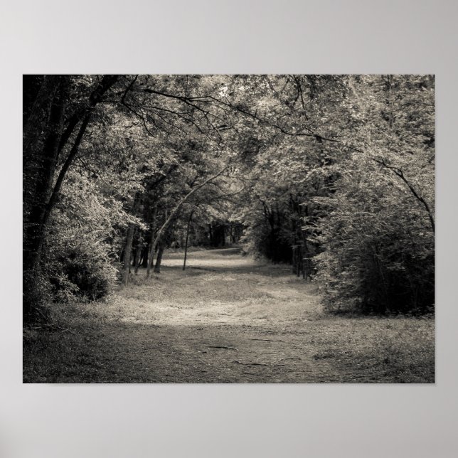 Poster Chemin vers l'inconnu (Devant)