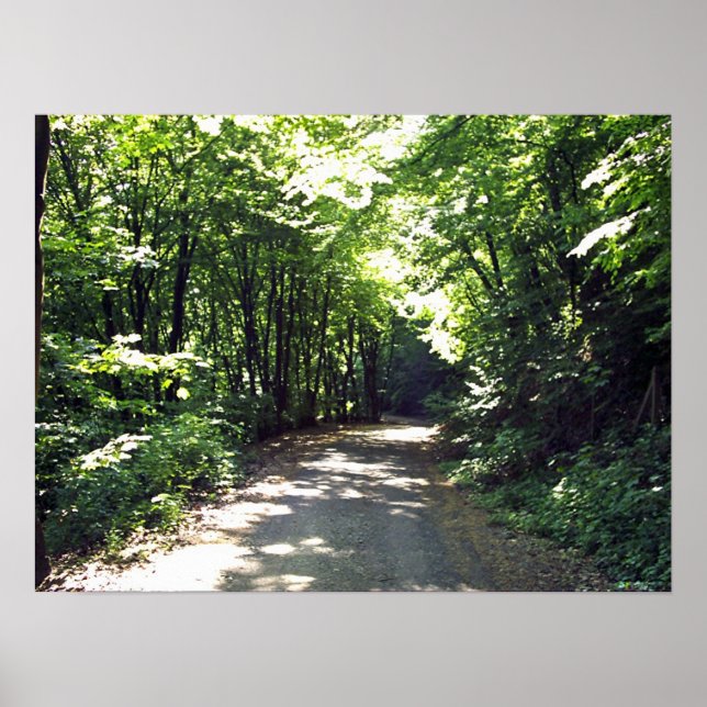 Poster Chemin vers l'infini (Devant)