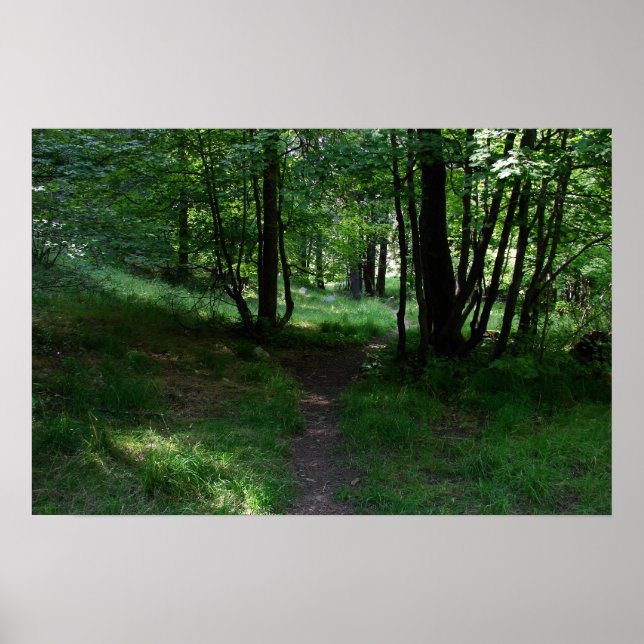 Poster Chemin vert (Devant)