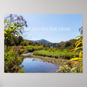 Poster Chemin Virginia Creeper