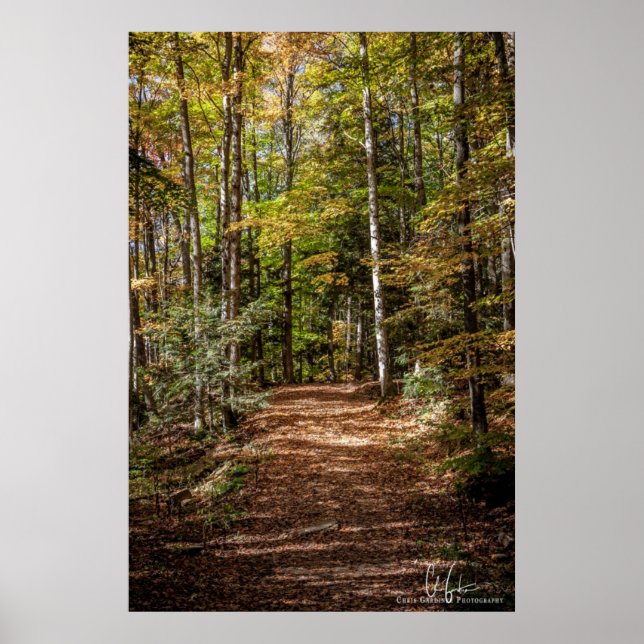 Poster Chemin Woodland (Devant)