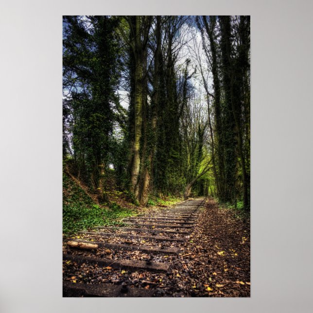 Poster Chemins de fer abandonnés HDR (Devant)