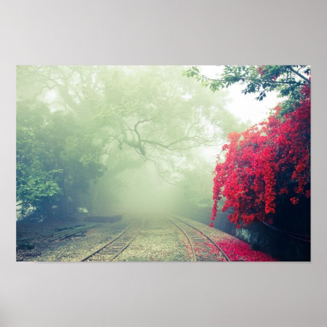 Poster Chemins de fer Misty Photo Pittoresque (Devant)
