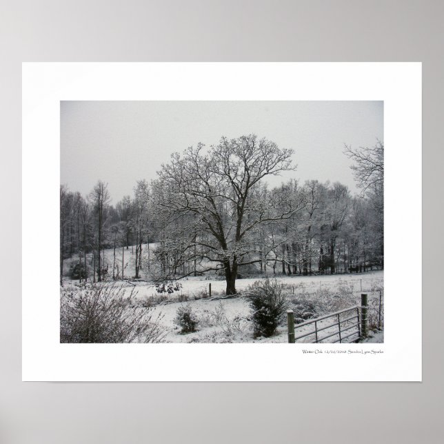 Poster Chêne d'hiver (Devant)