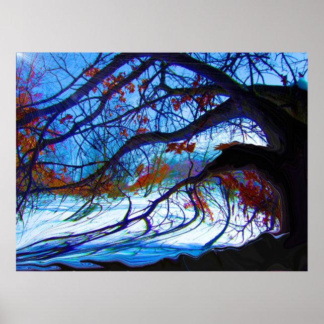 Poster Chêne tordu (Devant)
