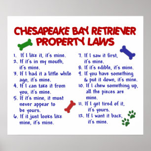 POSTER CHESAPEAKE BAY RETRIEVER PL2