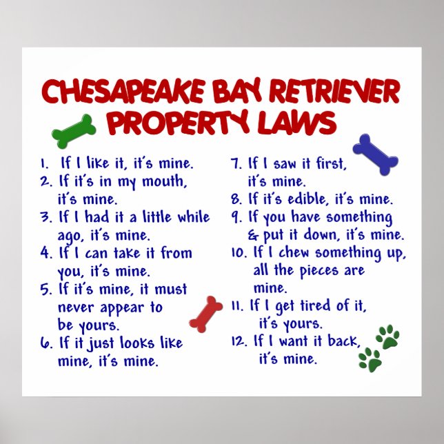 POSTER CHESAPEAKE BAY RETRIEVER PL2 (Devant)