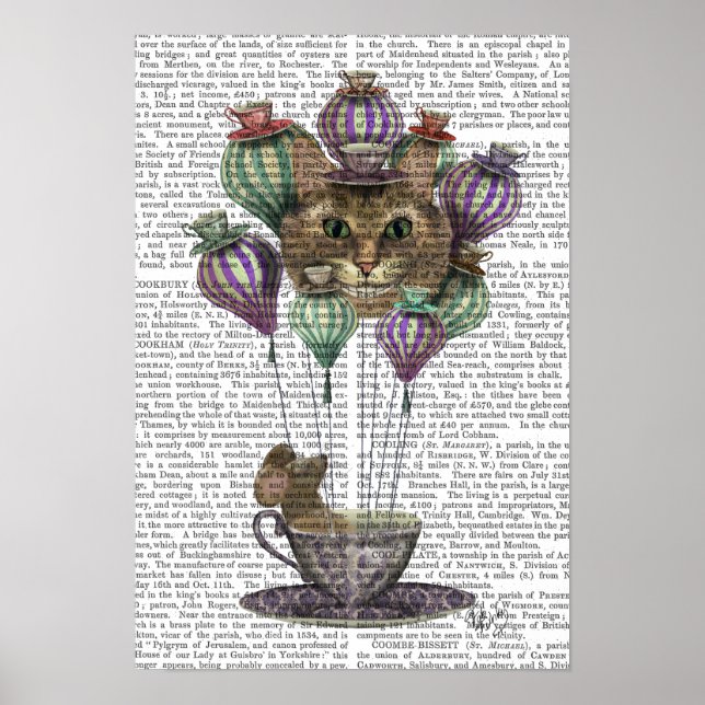 Poster Cheshire Chat Hot Air Balloon (Devant)