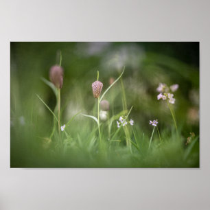 Poster Chess Flower Nature Photo
