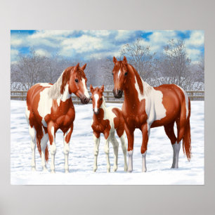 Poster Chestnut Pinto Sorrel Peinture Quarter Chevaux Dan