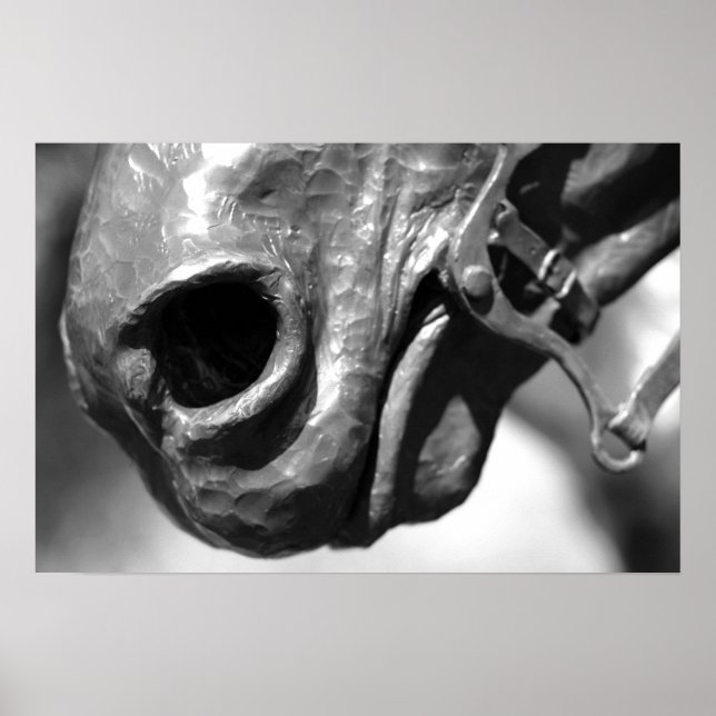 Poster Cheval (Devant)