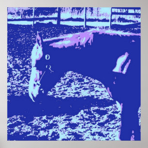 Poster Cheval
