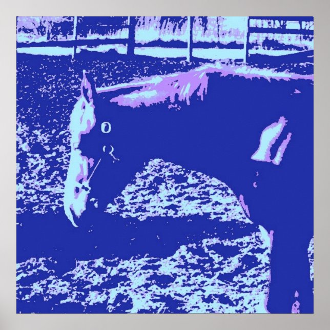 Poster Cheval (Devant)