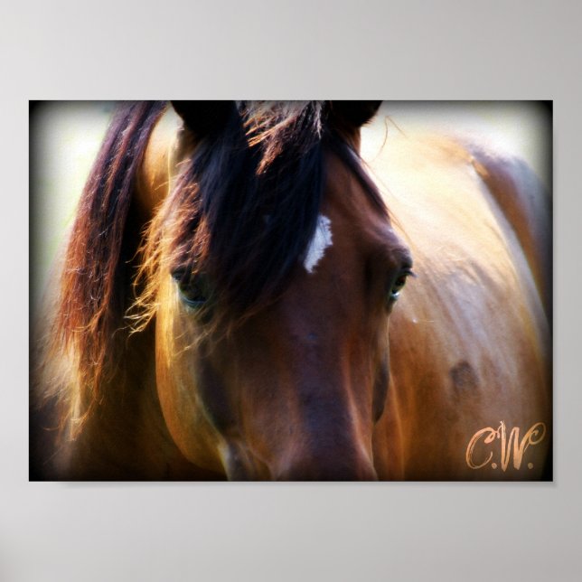 Poster cheval (Devant)