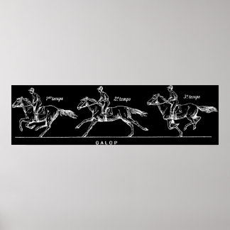 Poster Cheval