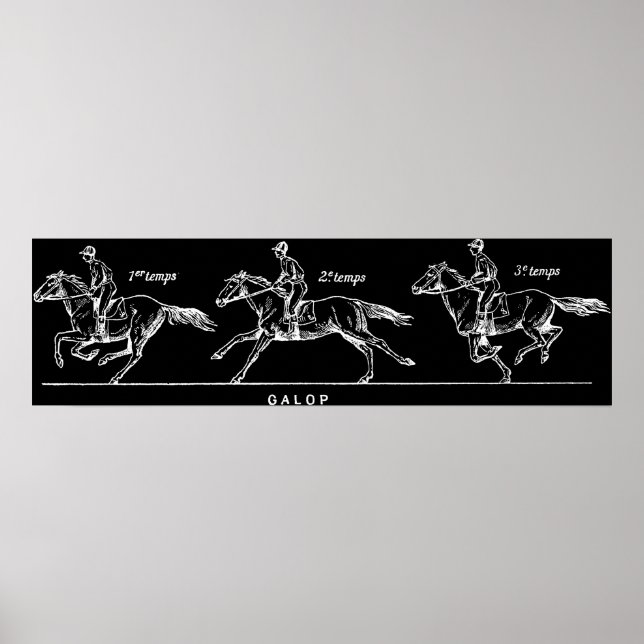 Poster Cheval (Devant)