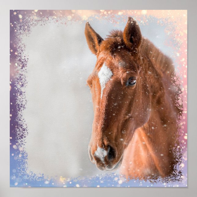 Poster Cheval (Devant)