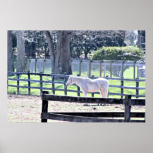 Poster Cheval à l'affiche de la ferme