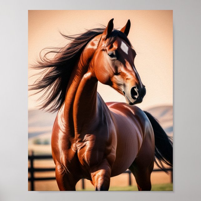 Poster cheval américain (Devant)