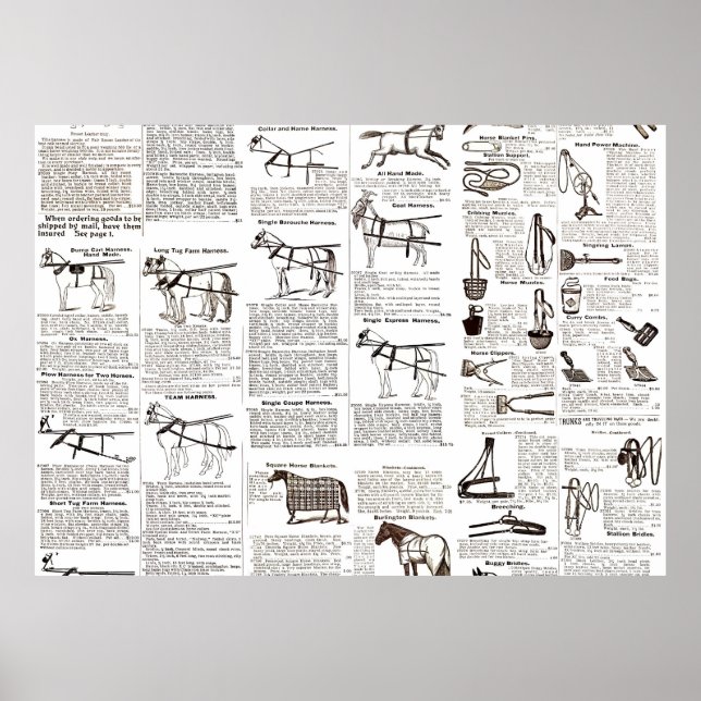 Poster Cheval Antique Publicité Journal Art (Devant)