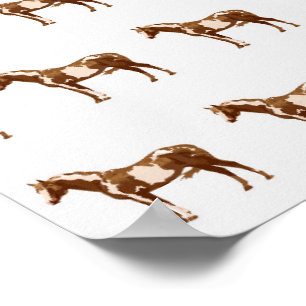 Poster Cheval Appaloosa Aquarelle Équestre Animal