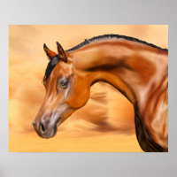 Cheval arabe