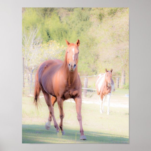 Poster Cheval Art (Devant)
