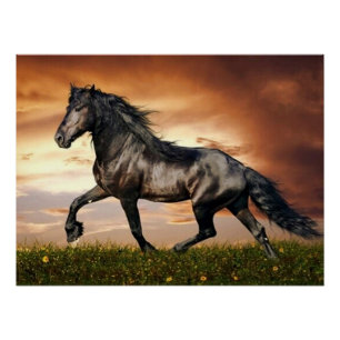 Poster cheval au galop