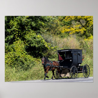 Poster Cheval avec buggy dans le pays Amish