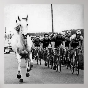 Poster Cheval Blanc 1975 Tour De France Couleur Redux