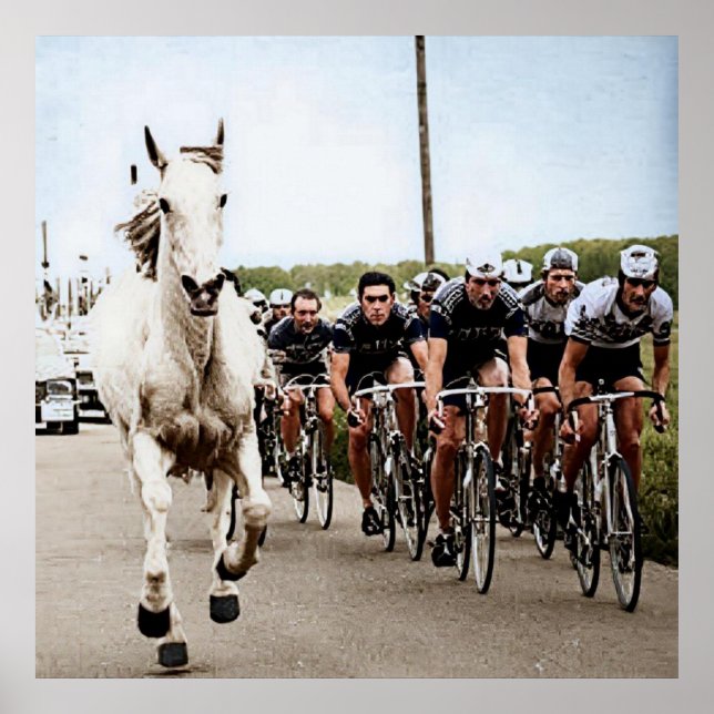 Poster Cheval Blanc 1975 Tour De France Couleur Redux (Devant)