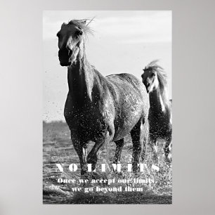 Poster Cheval Blanc Noir Motivation Sans Limites Oeuvre