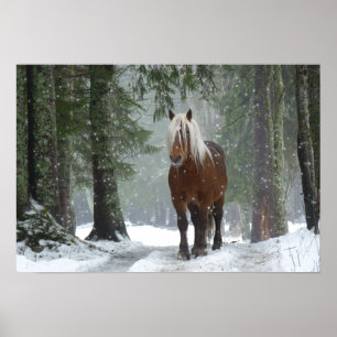 Poster Cheval Brown dans une forêt d'hiver avec chute de 