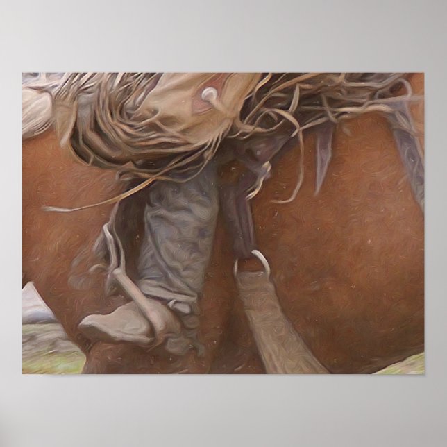 Poster Cheval Brown Western Rodeo Cowboy (Devant)